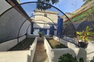 Estaleiro Mauá inaugura sua primeira horta orgânica e reforça compromisso com o meio ambiente